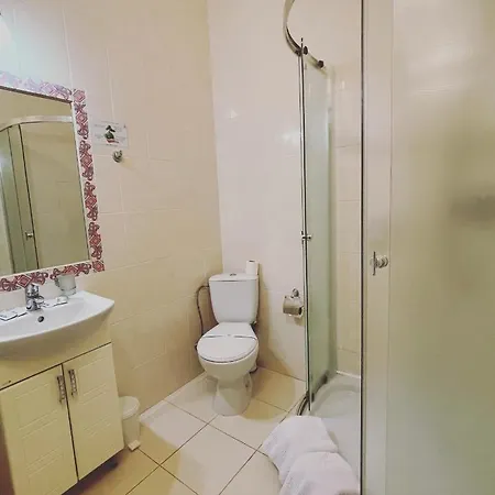 Leo Hotel 3*